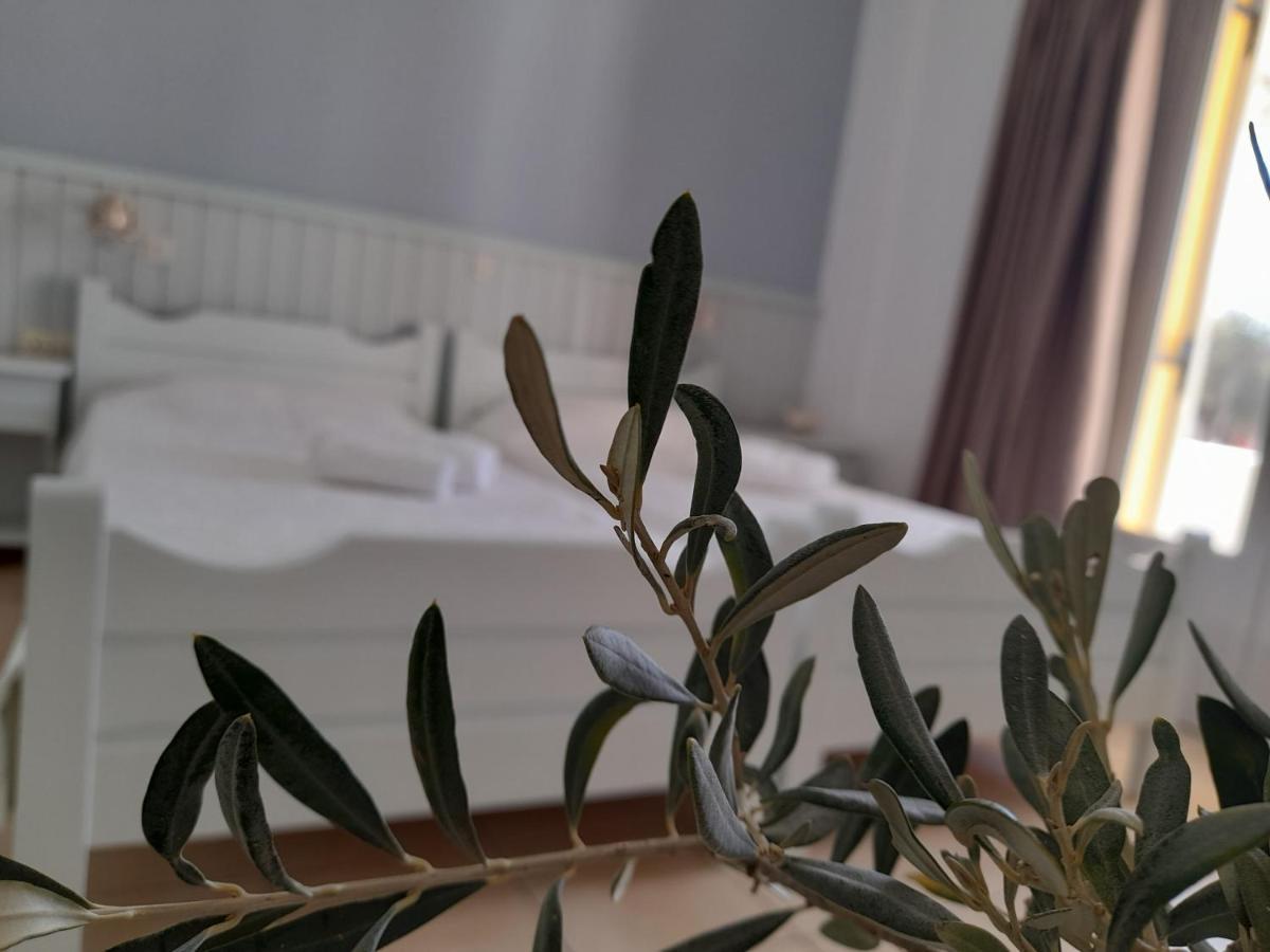 Elia Bed and Breakfast Skála Eksteriør billede