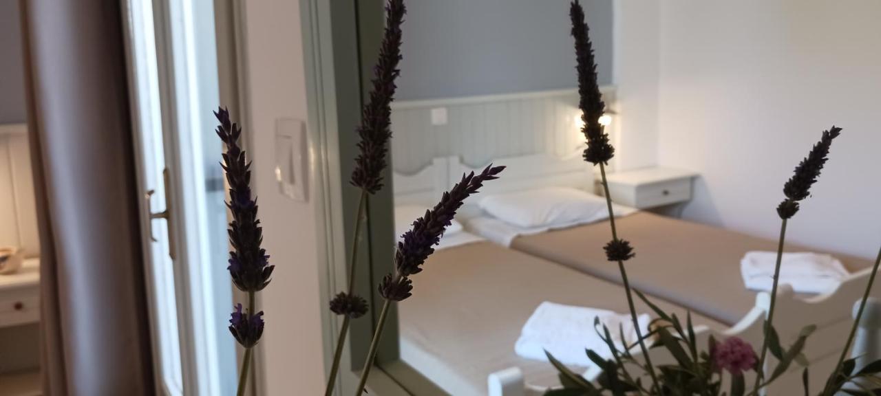Elia Bed and Breakfast Skála Eksteriør billede